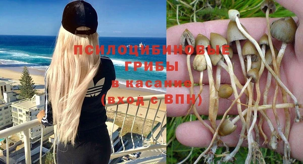 мдма Горняк