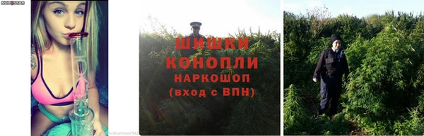 мдма Горняк